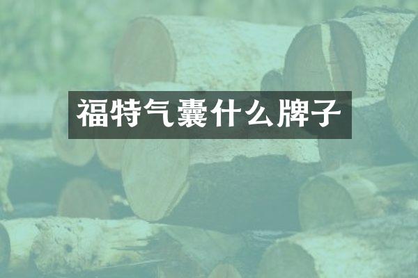 福特气囊什么牌子