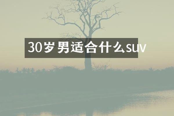 30岁男适合什么suv