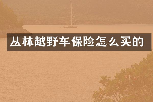 丛林越野车保险怎么买的