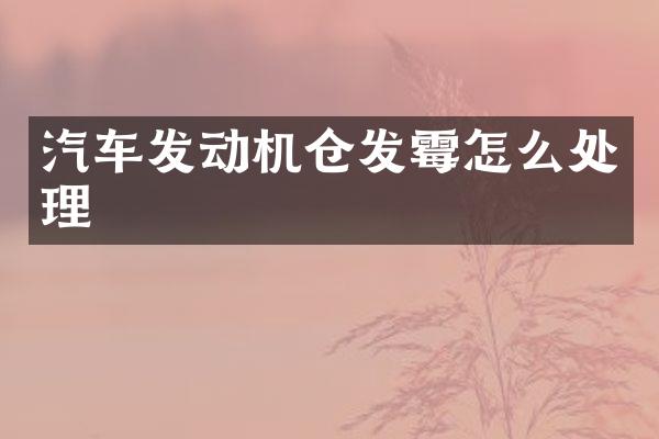 汽车发动机仓发霉怎么处理