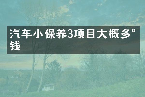 汽车小保养3项目大概多少钱