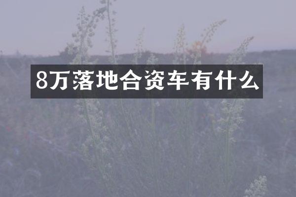 8万落地合资车有什么