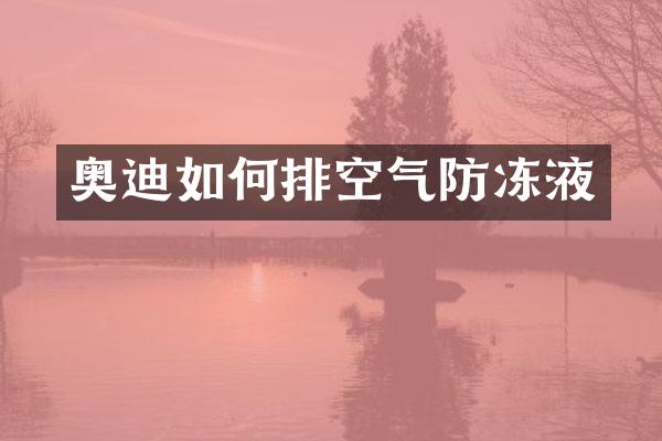 奥迪如何排空气防冻液