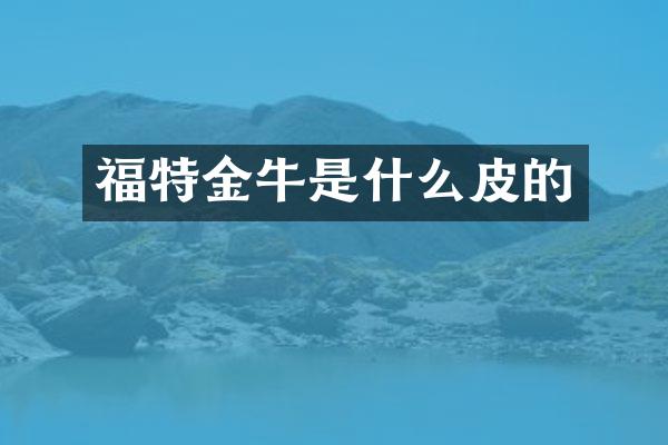 福特金牛是什么皮的