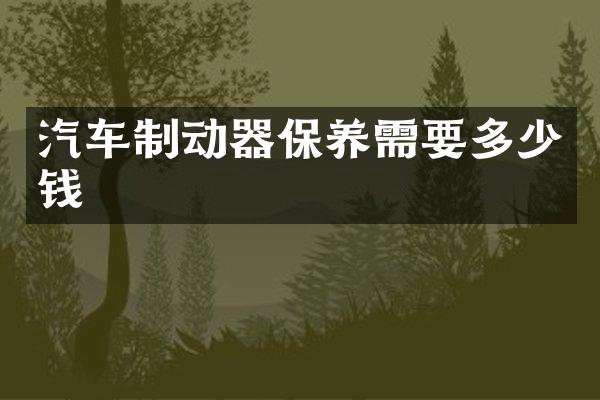 汽车制动器保养需要多少钱