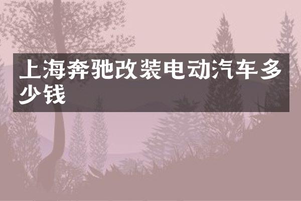 上海奔驰改装电动汽车多少钱