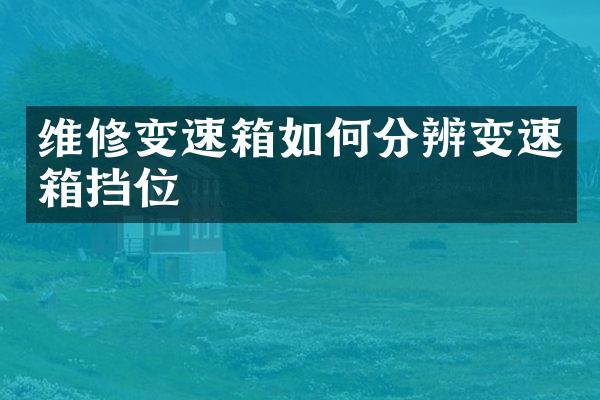 维修变速箱如何分辨变速箱挡位