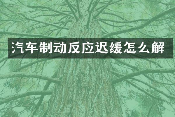 汽车制动反应迟缓怎么解