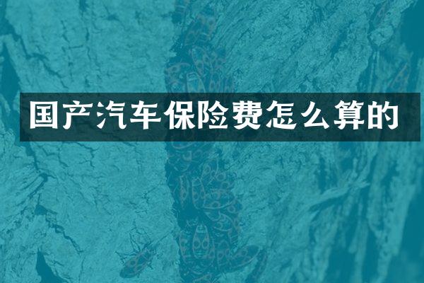 国产汽车保险费怎么算的
