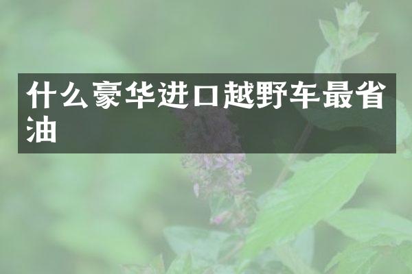 什么豪华进口越野车最省油