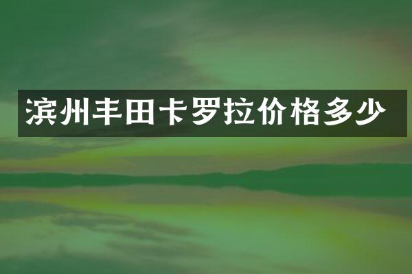 滨州丰田卡罗拉价格多少