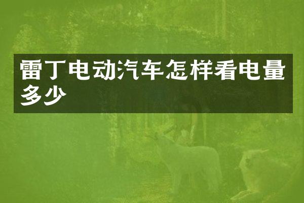 雷丁电动汽车怎样看电量多少
