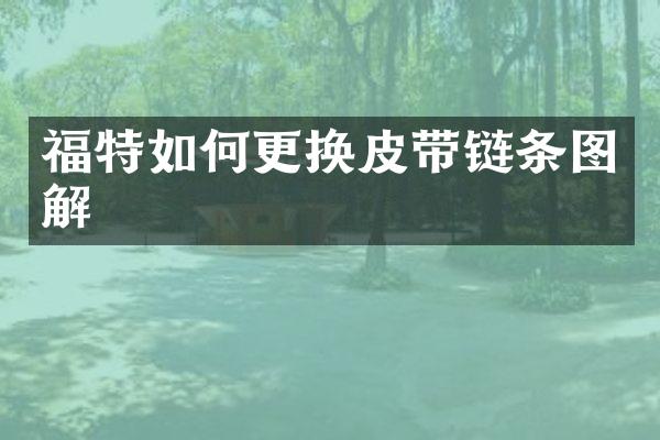 福特如何更换皮带链条图解