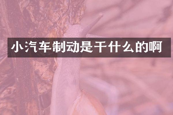小汽车制动是干什么的啊