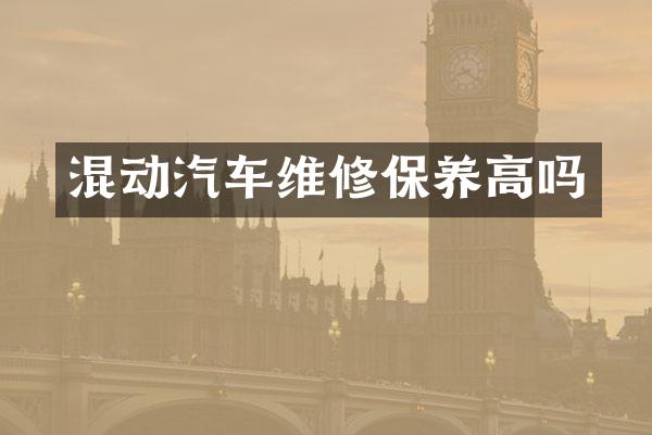 混动汽车维修保养高吗