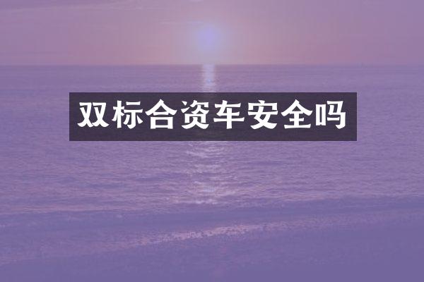 双标合资车安全吗