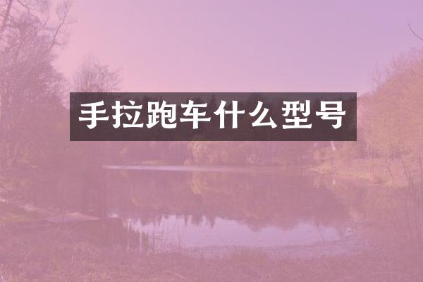 手拉跑车什么型号