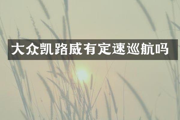大众凯路威有定速巡航吗