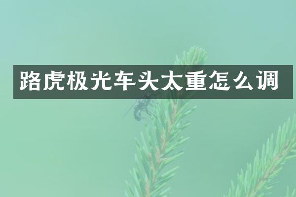 路虎极光车头太重怎么调