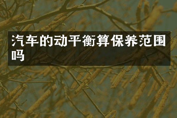 汽车的动平衡算保养范围吗