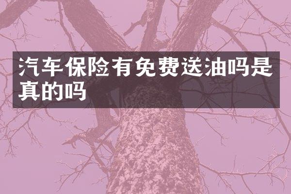 汽车保险有免费送油吗是真的吗