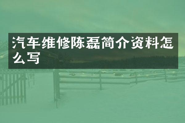 汽车维修陈磊简介资料怎么写