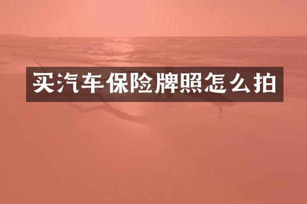 买汽车保险牌照怎么拍