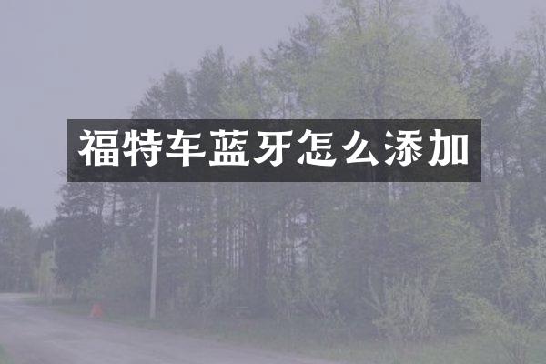 福特车蓝牙怎么添加