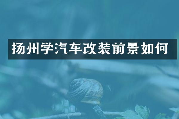 扬州学汽车改装前景如何