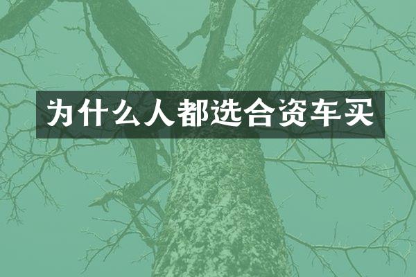 为什么人都选合资车买