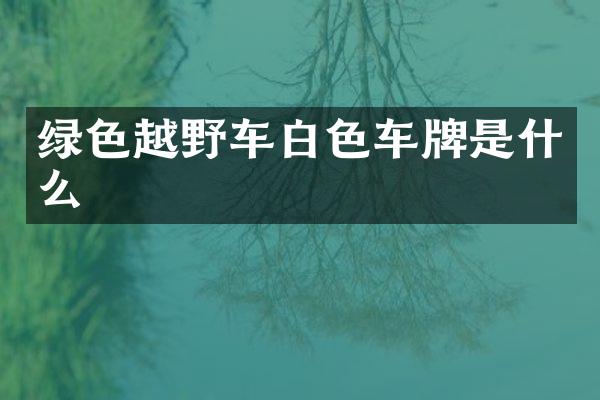 绿色越野车白色车牌是什么