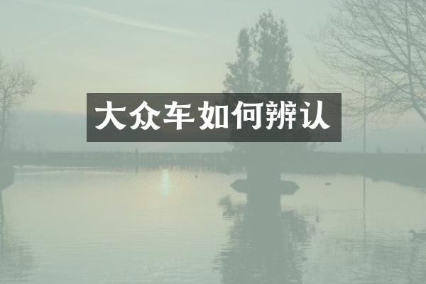 大众车如何辨认