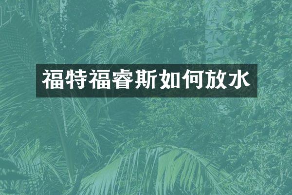 福特福睿斯如何放水