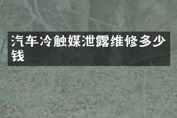 汽车冷触媒泄露维修多少钱