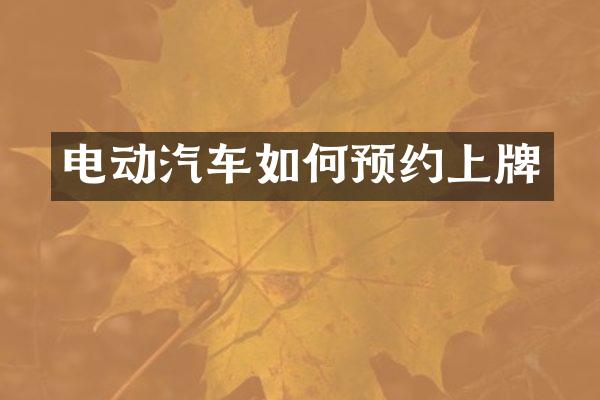 电动汽车如何预约上牌