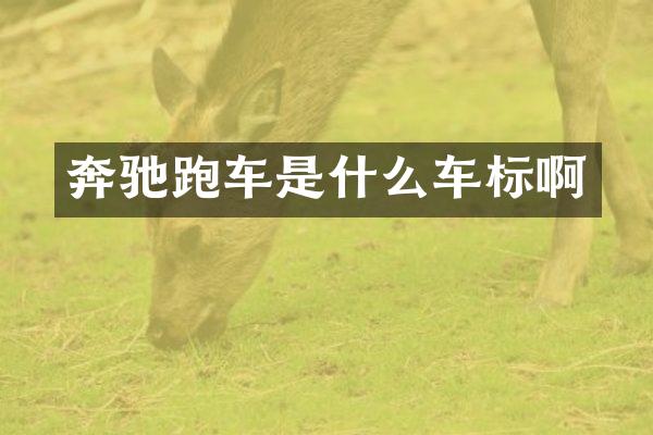 奔驰跑车是什么车标啊