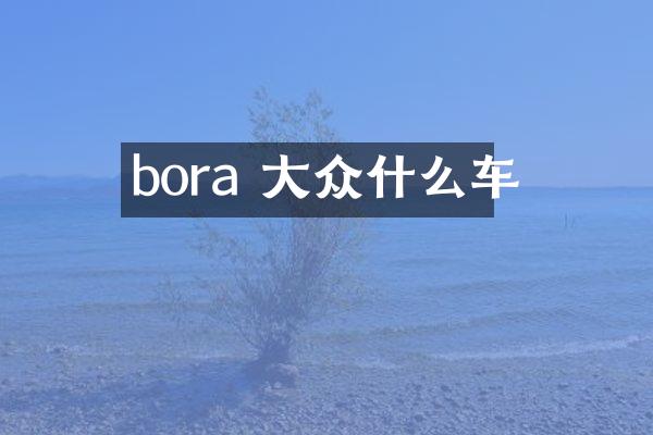bora 大众什么车
