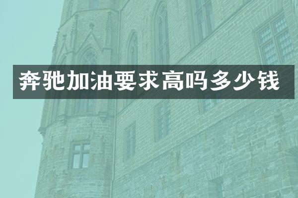 奔驰加油要求高吗多少钱