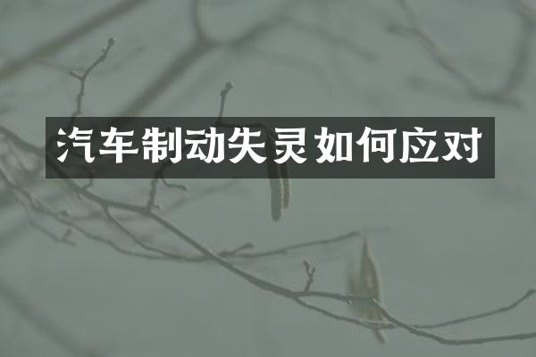 汽车制动失灵如何应对
