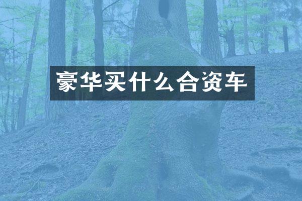 豪华合资车