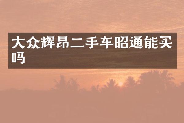大众辉昂二手车昭通能买吗