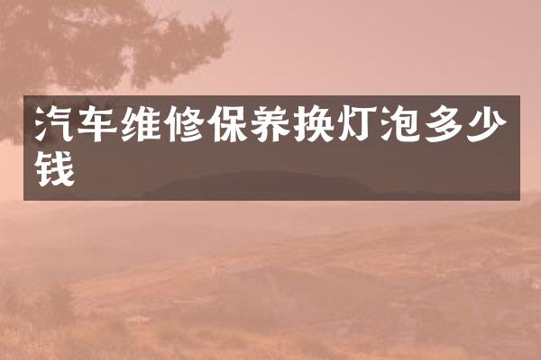 汽车维修保养换灯泡多少钱
