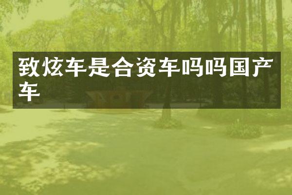 致炫车是合资车吗吗国产车