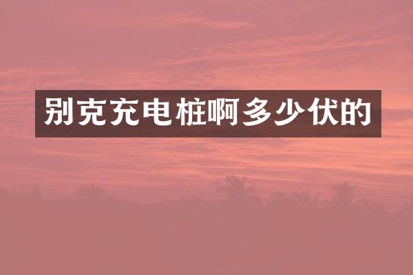 别克充电桩啊多少伏的
