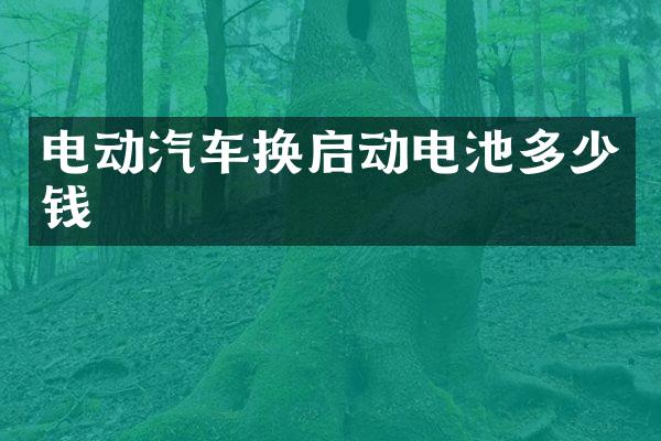 电动汽车换启动电池多少钱