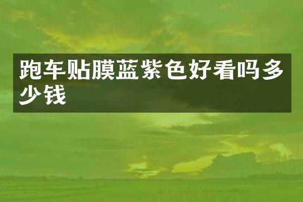 跑车贴膜蓝紫色好看吗多少钱