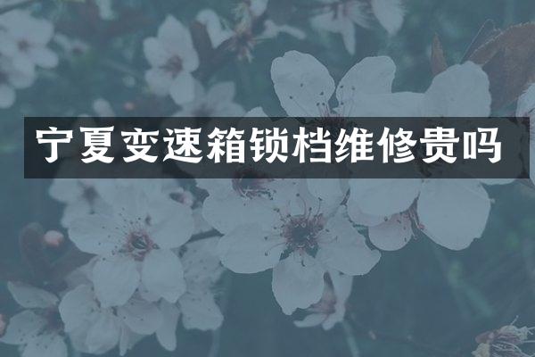 宁夏变速箱锁档维修贵吗