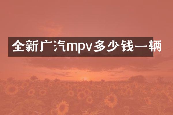 全新广汽mpv多少钱一辆
