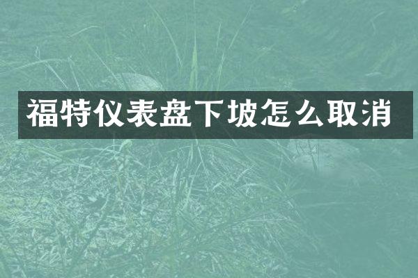 福特仪表盘下坡怎么取消
