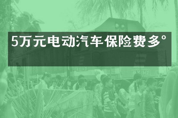 5万元电动汽车保险费多少
